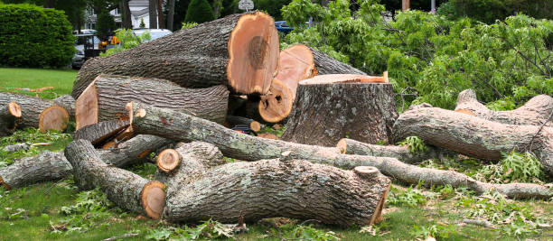  Rogersville, AL Tree Services Pros